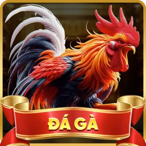 Tỷ lệ trả thưởng hấp dẫn